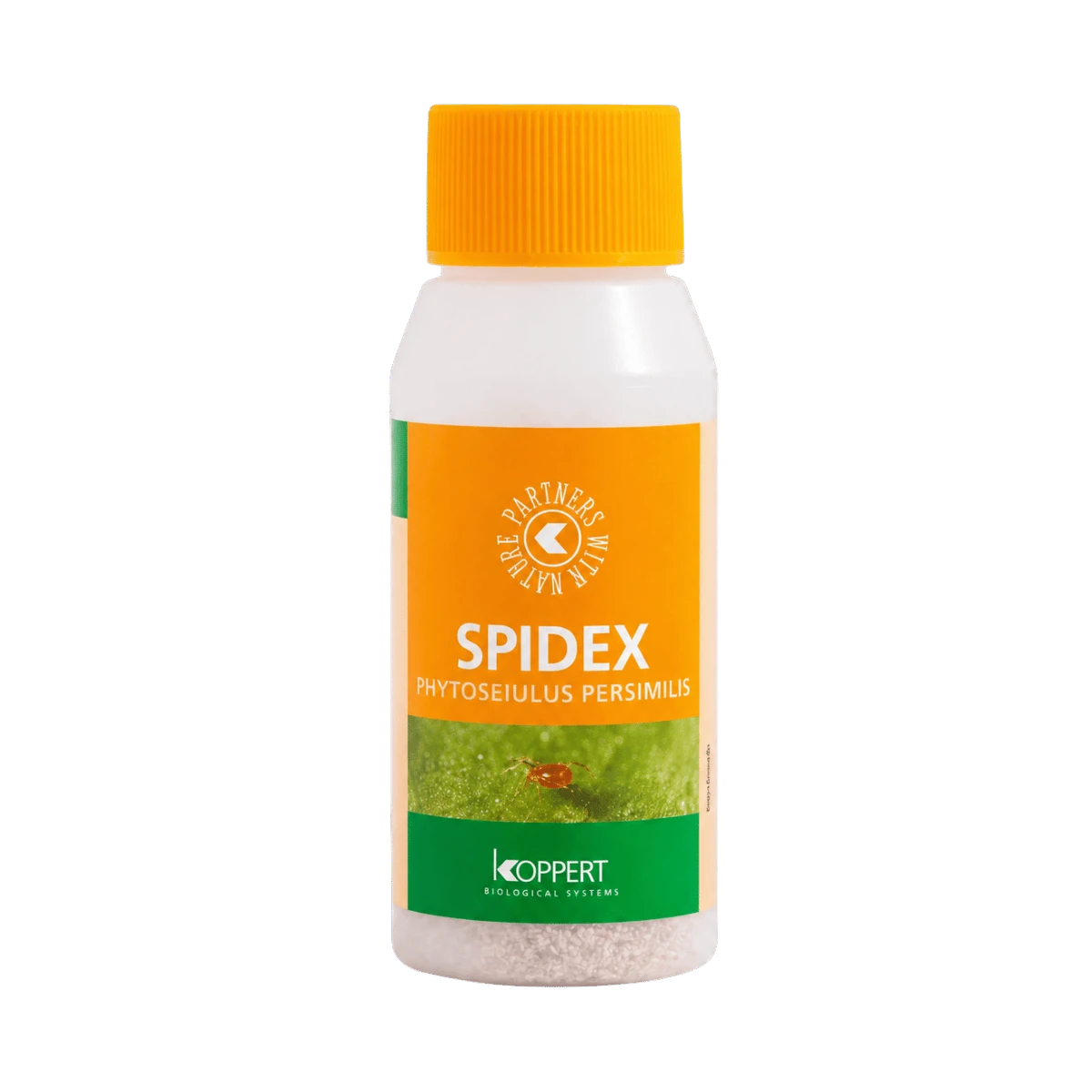 Produktbillede af Spidex 2000 stk. – Phytoseiulus persimilis